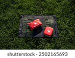 A wellorganized first aid kit is placed thoughtfully on a cozy blanket that is spread out over the lush green grass in a beautiful outdoor setting, ready for use if needed in case of emergencies