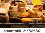 Well-stocked cheese counter at the cheese factory with pecorino cheese or typical Italian aged cheese