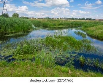 Welna And Nielba River Bifurcation In Wagrowiec, Poland