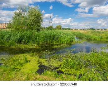 Welna And Nielba River Bifurcation In Wagrowiec, Poland