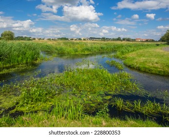 Welna And Nielba River Bifurcation In Wagrowiec, Poland