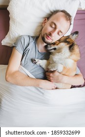 Welsh Corgi Pembroke Dog Sleeping With Owner In Bed, Cute And Hugging