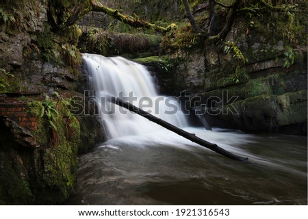 Welsh Waterfall with moss and fallen tree