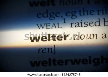 welter word in a dictionary. welter concept, definition.