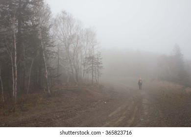 Weltered in haze