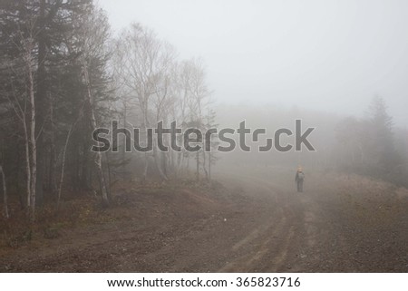 Weltered in haze