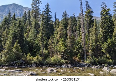 Wenatchee National Forest In Washington