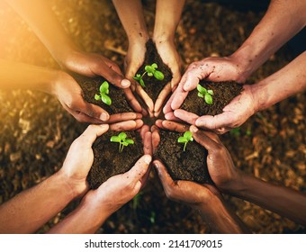 Were all responsible for a better tomorrow. Closeup shot of a group of unrecognizable people holding plants growing out of soil. - Shutterstock ID 2141709015