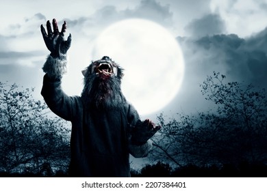 A werewolf with a full moon and night scene background. Halloween concept