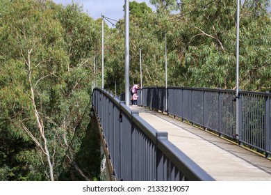 Werribee, Vic Australia - March 7 2022: Pedestrian Footbridge Over Werribee River With Eucalyptus Trees And Family Looking At View