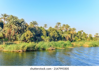 West Bank Of The River Nile With Palm Tress And Scene Of Running Water Down The River Nile In Egypt 