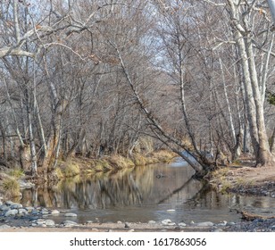 West Clear Creek In Camp Verde, Yavapai County, Arizona USA