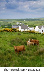 West Coast Of Ireland