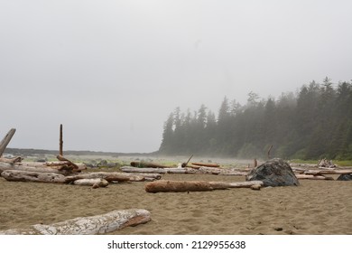 West Coast Trail Scenery In Vancouver Island, British Colombia, Canada