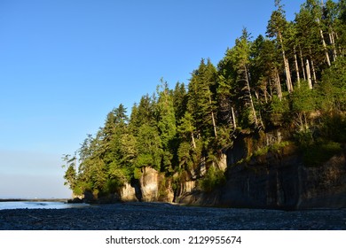 West Coast Trail Scenery In Vancouver Island, British Colombia, Canada