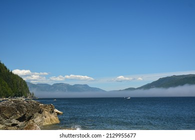 West Coast Trail Scenery In Vancouver Island, British Colombia, Canada