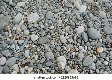 West Coast Trail Scenery In Vancouver Island, British Colombia, Canada