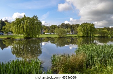 West End Lake In Esher Surrey