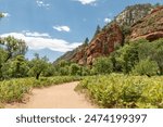 West Fork Oak Creek Trail. Sedona. Arizona.