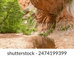 West Fork Oak Creek Trail. Sedona. Arizona.