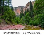 West Fork trail in beautiful Sedona,Arizona