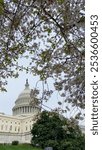 The west front of the United States Capitol in Washington, DC, USA. The Capitol Building is the seat of the United States Congress, the legislative branch of the federal government.