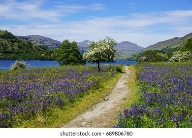 West Highland Way 