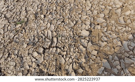 West Java, Indonesia - 2026: Extreme drought during the dry season drastically reduces the water level of the Citarum River, exposing peeling, cracked mud and unique dried earth textures along the riverbank.