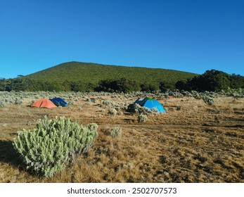 West Java  Indonesia - August 11, 2024 : Some of the Surya Kencana Savanna tents in the morning with a clear sky and the peak of Mount Gede in the background.