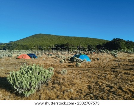 West Java  Indonesia - August 11, 2024 : Some of the Surya Kencana Savanna tents in the morning with a clear sky and the peak of Mount Gede in the background.