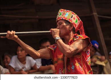 West Kalimantan / Indonesia - December 11, 2015 : 
Spectacular Borneo Sumpit, Blowgun / Blowpipe Hunting Spear. Traditional Weapon Consisting Of A Small Wooden Tube For Firing Light Projectiles /dart