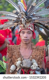 Traditional Dayak Performances 1000 Mandau Cultural Stock Photo ...