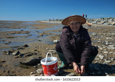 19 Cockle picker Images, Stock Photos & Vectors | Shutterstock