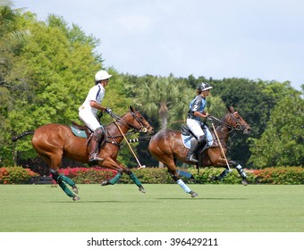 WEST PALM BEACH, FLORIDA - March 26, 2016: Saturday match between Goose Creek and Airstream at the Isla Carroll field at the beautiful International Polo Club of Palm Beach in Wellington, Florida