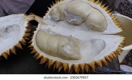 West prog, Yogyakarta : Durian