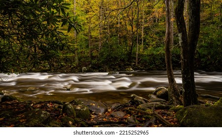 West Prong Of Little Pigeon River Rushing Through Forest In Fall in the Smokies