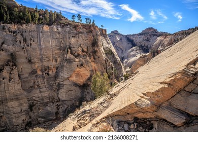 West Rim Hike Trail Views In Zion National Park, Utah