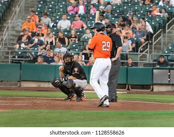 WEST SACRAMENTO, CA/U.S.A. - JUNE 29, 2018: Fresno Grizzlies Catcher Tim Federowicz Watches As Ryan Hanigan Approaches Home Plate To Bat During A Game Against The River Cats At Raley Field.