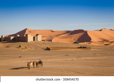 West Sahara Desert