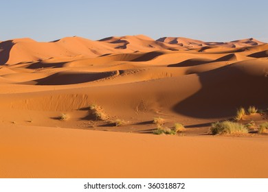 West Sahara Desert Landscape,