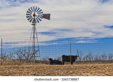 West Texas Cattle Ranching