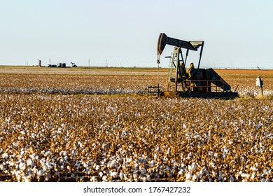 West Texas Cotton Field Oil Well Pump Jack