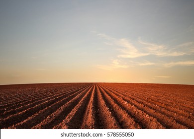 West Texas Farm Field