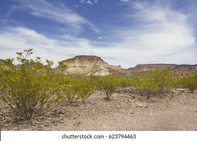 West Texas Landscape