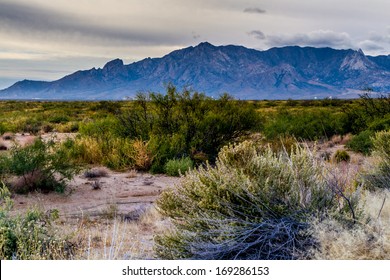 West Texas Landscape Of Desert Area With Hills.