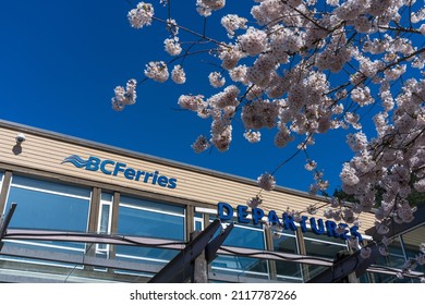West Vancouver, BC, Canada - April 13 2021 : BC Ferries Horseshoe Bay Ferry Terminal. Cherry blossoms full bloom in springtime.