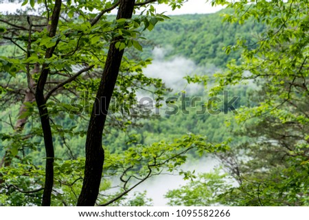 West Virginia Natural Wilderness and Fog