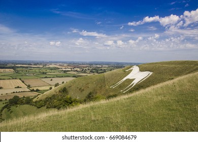 Westbury White Horse