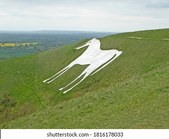 Westbury White Horse In Wiltshire 