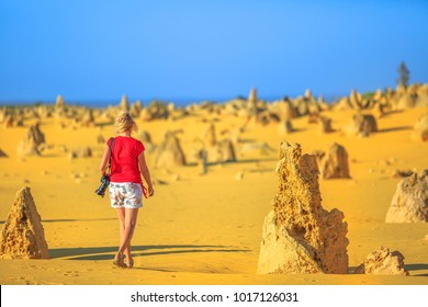 Western Australia travel discovery concept. Traveler woman photographer walks through Pinnacles Desert, Nambung National Park, Cervantes. Female with professional camera among limestone formations, WA - Shutterstock ID 1017126031